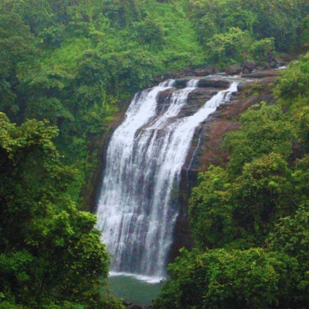aayana holidays